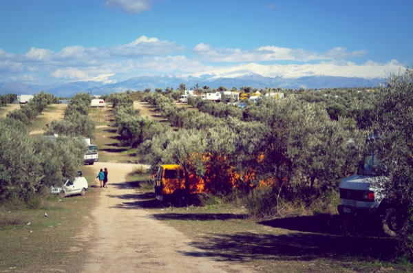 dragoff-trucks-in-trees