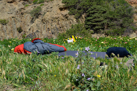 This was Bens bed. A flower bed