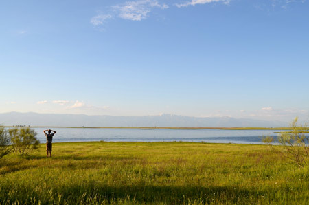 Spot of the month. 5 anchors out of 5. See post