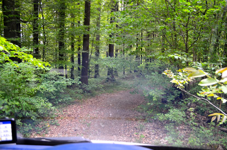 driving-into-forrest-off-track