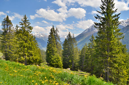 austria-alpine-fresh