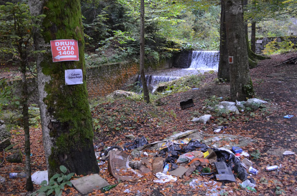 I heard that going into bear land when itβs dark in autumn is a stupid thing to do β let alone all the litter. No one knows where I am. Iβm going back to the van.