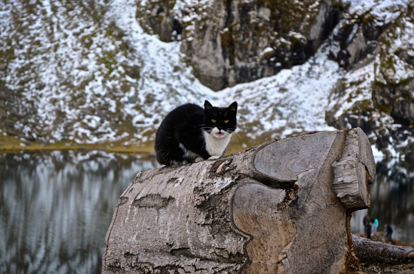 glacial-lake-transfagarasan