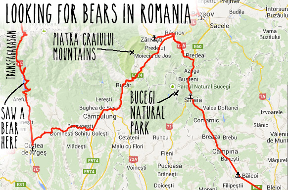 looking-for-bears-romania-map