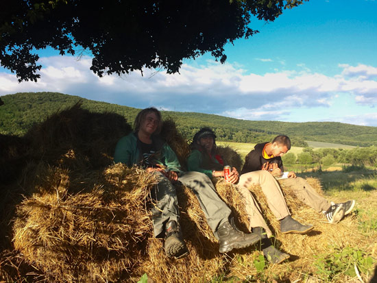 living-in-a-van-highlights-summer-night