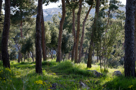 wildcamping-greece-nature
