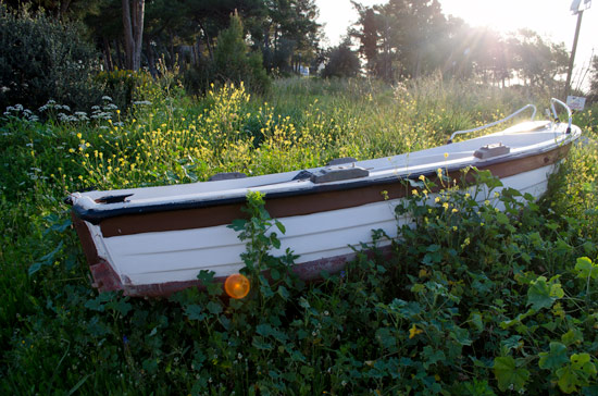 wildcamping-greece-overgrown