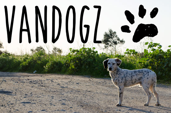 wildcamping-greece-vandogz