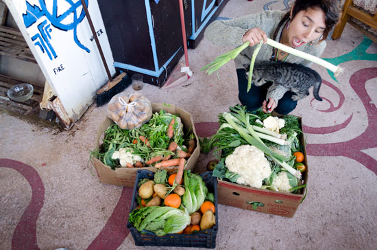 greece-in-a-campervan-food-mission