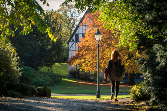 my-time-in-hull-uk-autumn