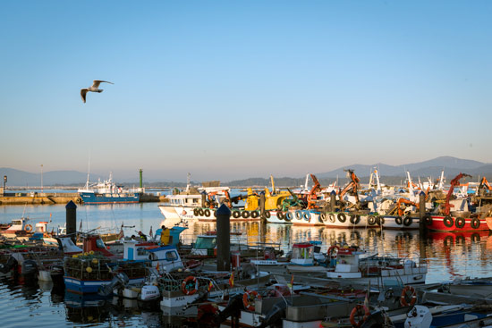 north-spain-by-campervan-o-grove-fishing