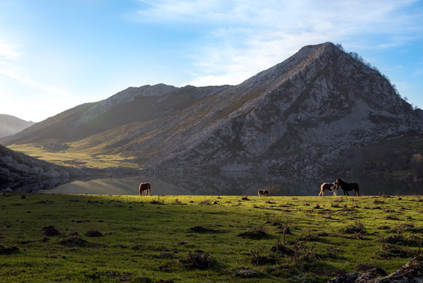 picos-de-europa-glacial-lakes-covadonga-horses-3