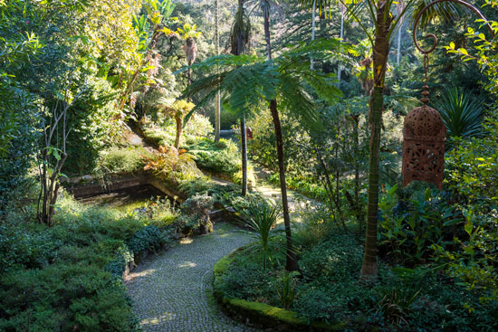 sintra-portugal-pena-garden-forest-path