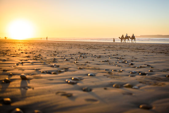 morocco-essaouira-campervan-beach-sunset