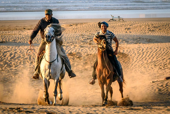 morocco-essaouira-campervan-horses-beach