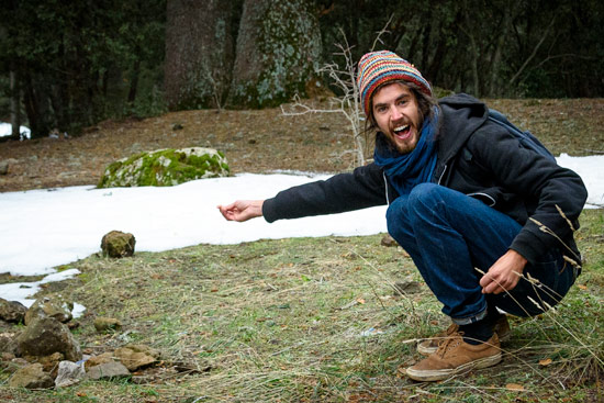 monkeys-in-morocco-cedar-forest-14