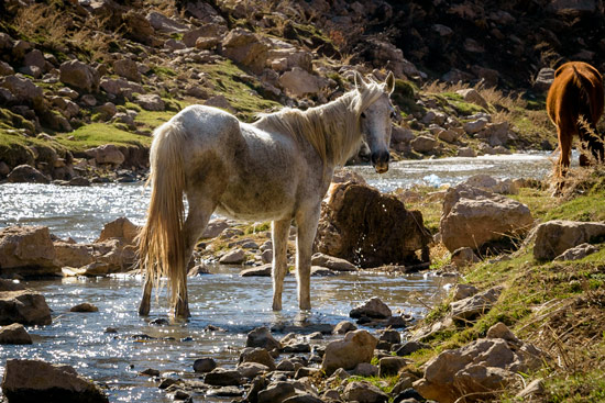 middle-atlas-lake-morocco-campervan-1