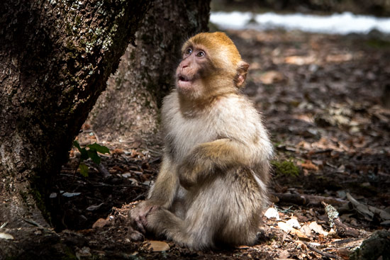 Morocco-by-campervan-8
