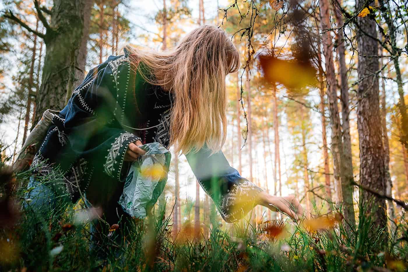 Sarah looking for food in the forest, Sweden