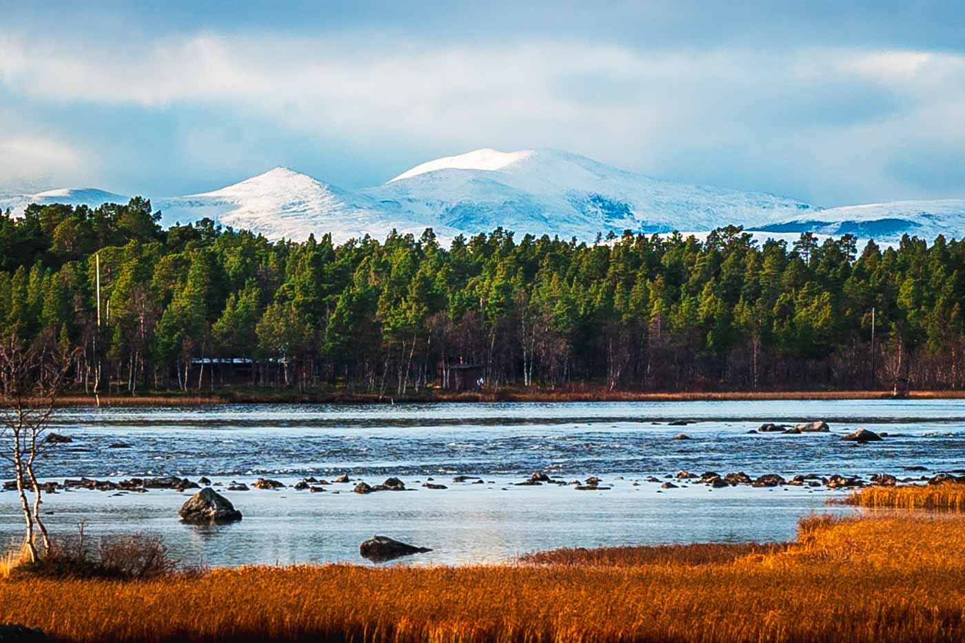 kebnekaise mountain range with pine trees and lake in foreground