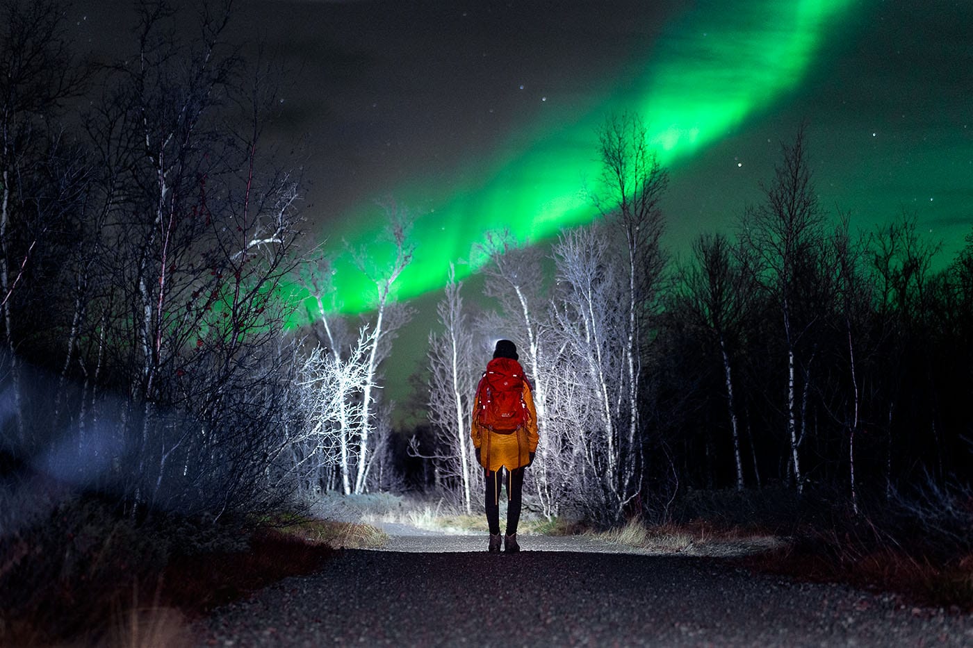 Aurora Borealis whilst hiking Nikkaluokta, Sweden